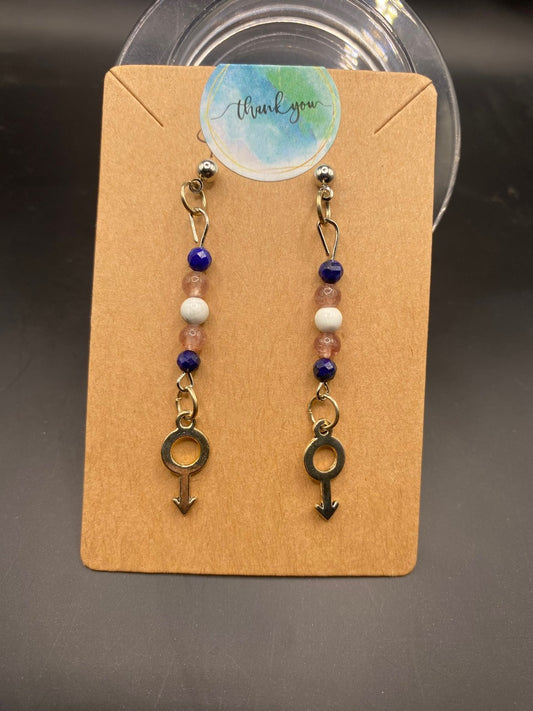 Masc Trans Pride (earrings)