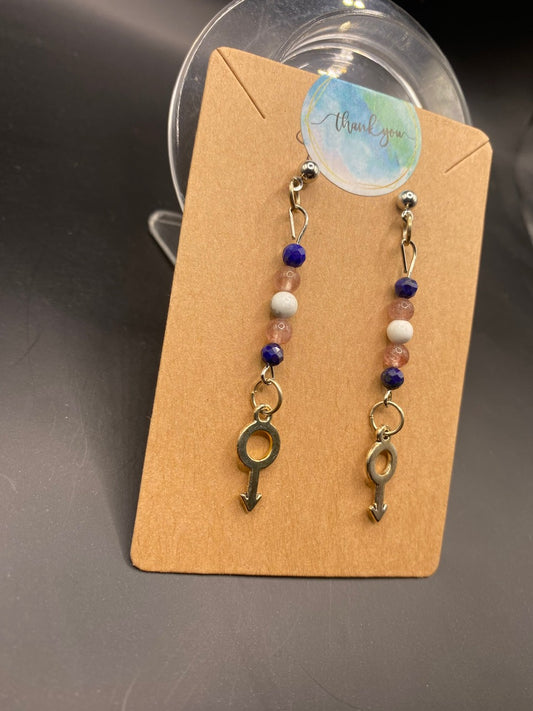 Masc Trans Pride (earrings)